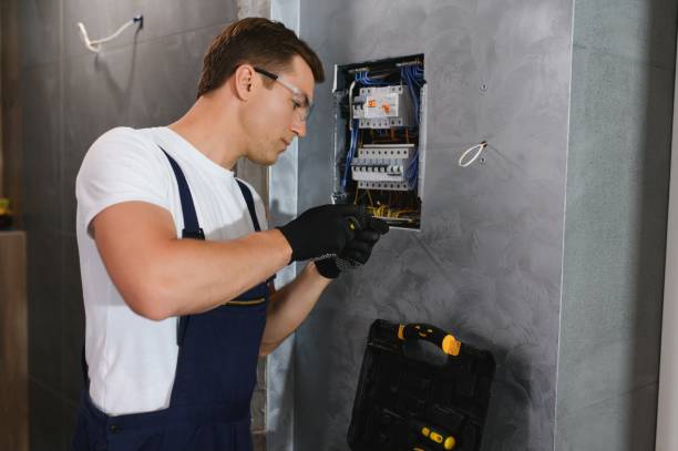 Best Ceiling Fan Installation Electrician  in Volo, IL