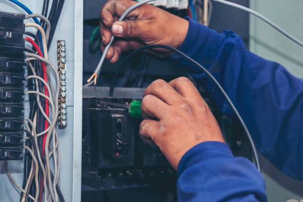 Best Electrical Upgrades for Homes  in Volo, IL