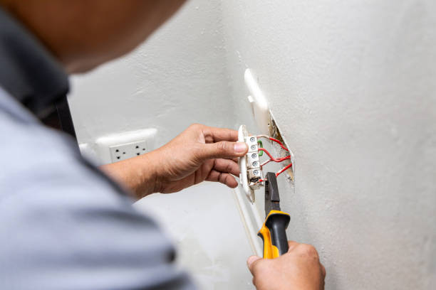 Best Commercial Electrician Services  in Volo, IL